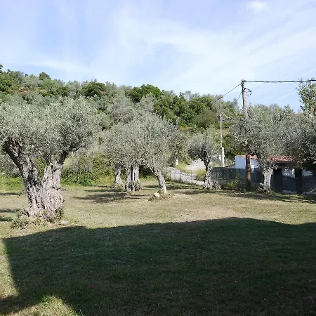 Crystal * Σκόπελος